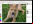 Pinta: Editor de imágenes inspirado en Paint.NET Pinta: Editor de imágenes inspirado en Paint.NET
