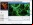 VideoMach: Convertidor multimedia con edición de video VideoMach: Convertidor multimedia con edición de video
