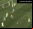 El Mundial de Fútbol 2022 según Japón (vídeo) El Mundial de Fútbol 2022 según Japón (vídeo)