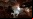 Call of Duty: Black Ops Call of Duty: Black Ops