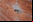 Dead Drops: Una red P2P offline (Proyecto) Dead Drops: Una red P2P offline (Proyecto)