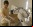 Robot golpea humanos para aprender Robot golpea humanos para aprender
