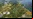 Adelanto – Civilization V