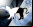 Gatos cuánticos de luz (NIST) Gatos cuánticos de luz (NIST)