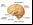 Almacenan memorias en tejido cerebral muerto Almacenan memorias en tejido cerebral muerto