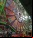 CERN reinicia el Large Hadron Collider (LHC) CERN reinicia el Large Hadron Collider (LHC)