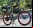SIGNa: La bicicleta que anda con agua
