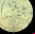 La sonda lunar Kaguya se estrelló contra la Luna La sonda lunar Kaguya se estrelló contra la Luna