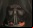 Adelanto - Star Wars: The Old Republic (Trailer) Adelanto - Star Wars: The Old Republic (Trailer)