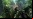 EA anuncia Crysis 2 para PC y consolas