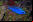 Top 10: Las especies nuevas más importantes Top 10: Las especies nuevas más importantes