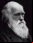 ¡¡Dejad a Darwin en paz!! ¡¡Dejad a Darwin en paz!!