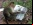 DARPA quiere cerebro virtual de chimpancé DARPA quiere cerebro virtual de chimpancé