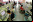 GameRanger: Partidas multijugador en línea GameRanger: Partidas multijugador en línea