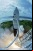 SpaceX Falcon 1 finalmente llega al espacio SpaceX Falcon 1 finalmente llega al espacio