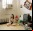 La importancia de los Retratos Ambientales