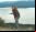 ¿Cómo hacer fotos antiguas? ¿Cómo hacer fotos antiguas?
