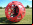 Buzzball: montaña rusa en una bola Buzzball: montaña rusa en una bola
