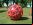 Buzzball: montaña rusa en una bola Buzzball: montaña rusa en una bola