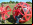 Buzzball: montaña rusa en una bola Buzzball: montaña rusa en una bola