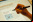 Proyecto para regular los blogs Europeos Proyecto para regular los blogs Europeos