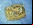 Se ha encontrado un fósil de tortuga de 100 millones de años de antigüedad Se ha encontrado un fósil de tortuga de 100 millones de años de antigüedad