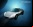 Rinspeed sQuba, el primer coche submarino Rinspeed sQuba, el primer coche submarino