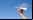 Fold 'N Fly: Base de datos de avioncitos de papel