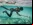 Los Bajau, los primeros humanos adaptados genéticamente para bucear (vídeo)