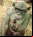 «Chimpancé sin pelo»: Conociendo a estos curiosos animales «Chimpancé sin pelo»: Conociendo a estos curiosos animales