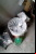 Cómo recolectar, purgar y cocinar caracoles Cómo recolectar, purgar y cocinar caracoles