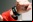 LG Lifeband Touch: Nueva pulsera inteligente con pantalla OLED LG Lifeband Touch: Nueva pulsera inteligente con pantalla OLED