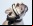 No More Woof: Un headset traductor para perros